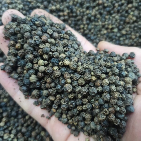 فلفل سیاه دانه