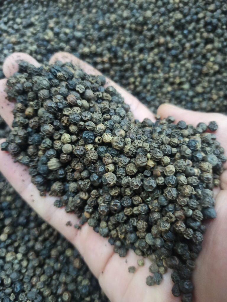 فلفل سیاه دانه