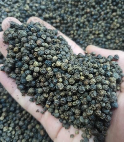 فلفل سیاه دانه