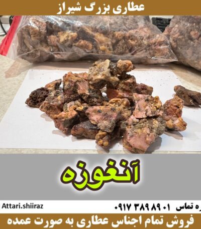 آنغوزه