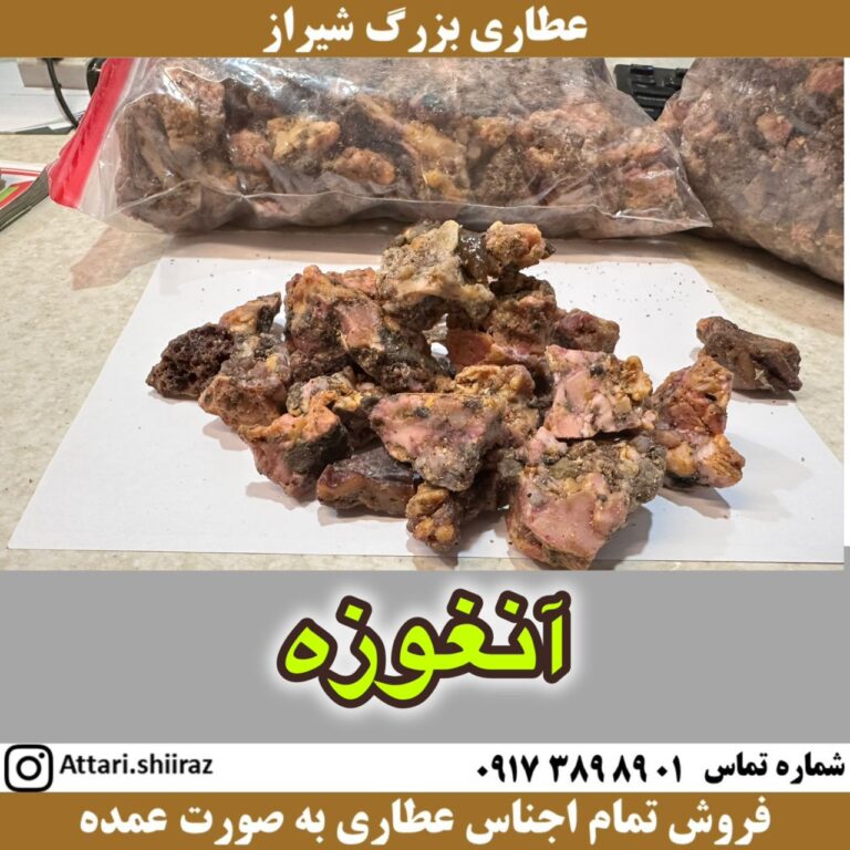 آنغوزه