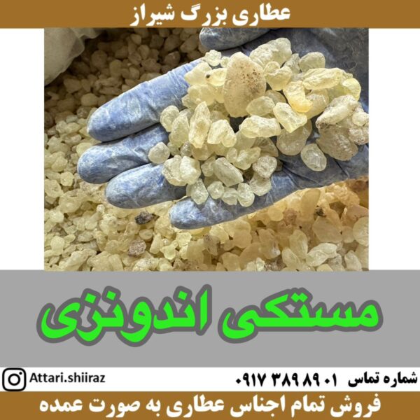 مصطکی / مستکی