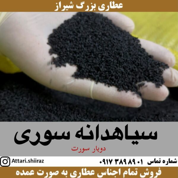 سیاهدانه سوری