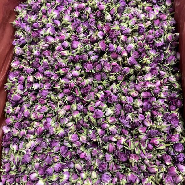 گل غنچه محمدی اصل (گل محمدی خشک)؛ اکسیر آرامش و زیبایی