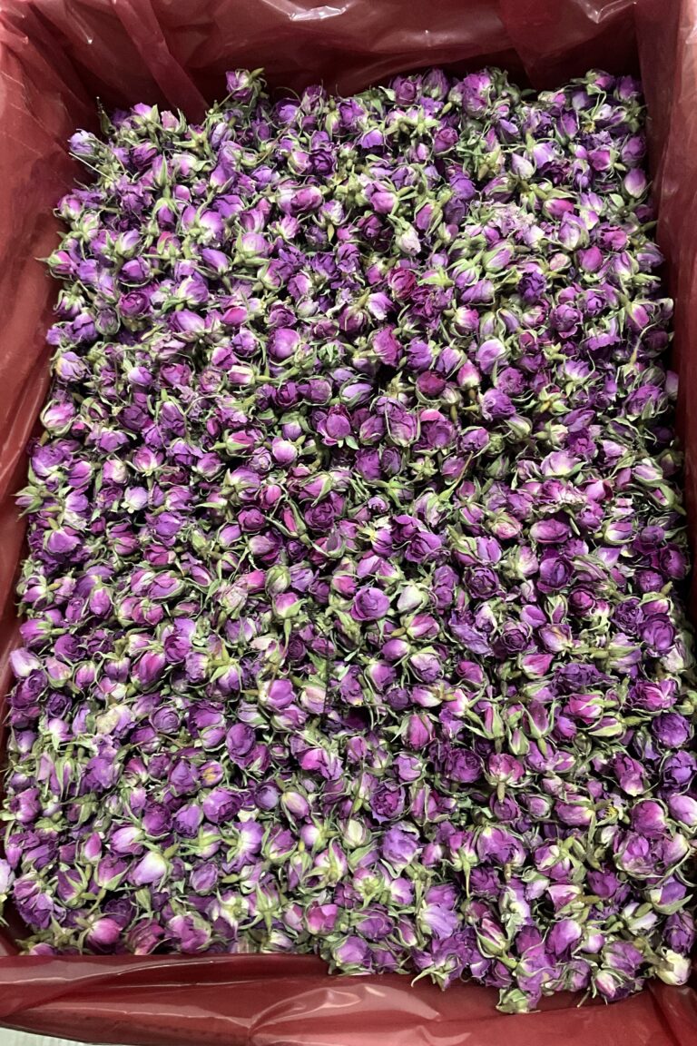 گل غنچه محمدی اصل (گل محمدی خشک)؛ اکسیر آرامش و زیبایی
