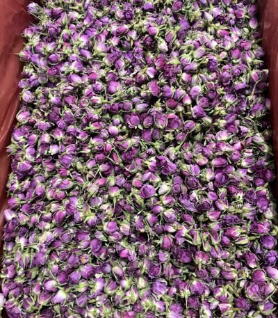 گل غنچه محمدی اصل (گل محمدی خشک)؛ اکسیر آرامش و زیبایی